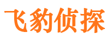 民丰市婚姻出轨调查